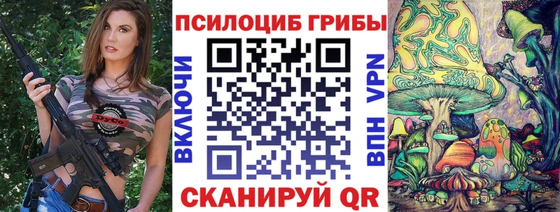 Псилоцибиновые грибы Cubensis  Купить где  Покачи 